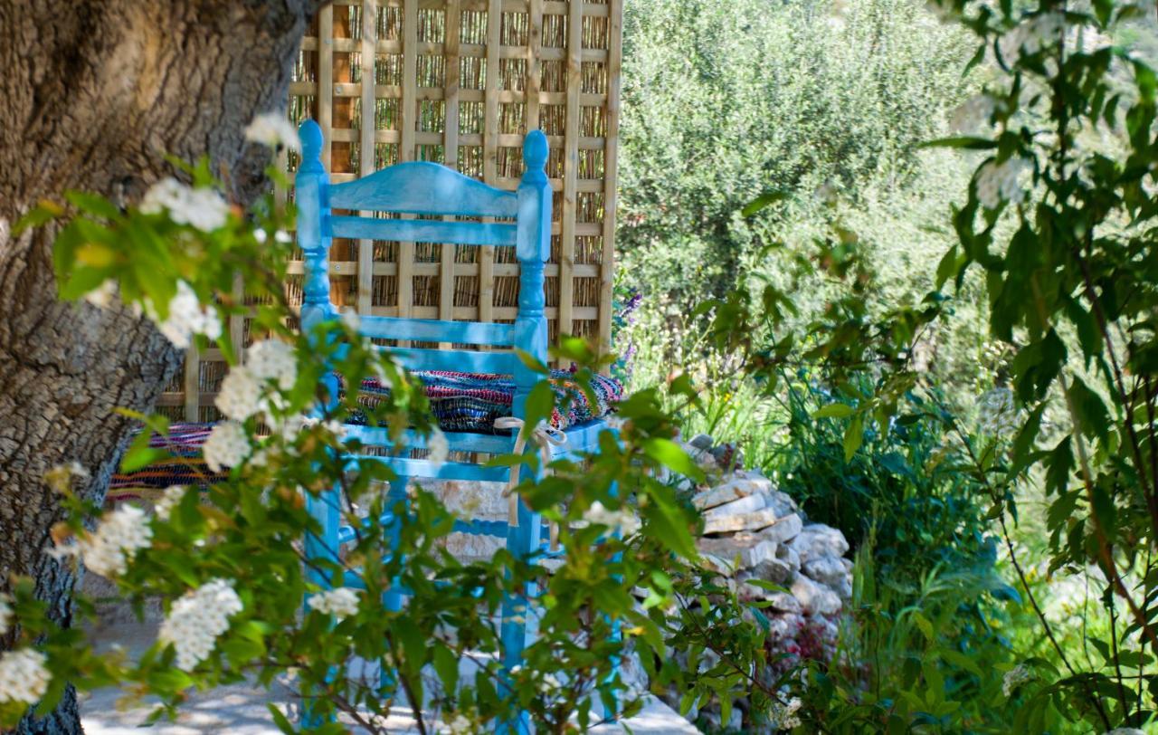 The Olive Cottage - Ithaca Vathy  Exterior photo